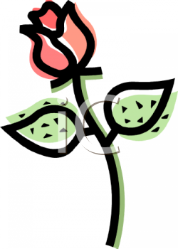 Rose Clipart
