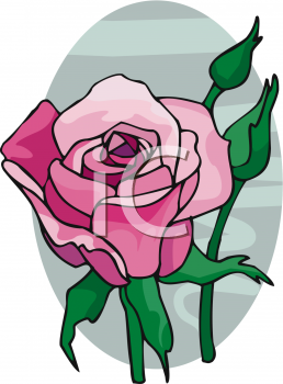 Rose Clipart