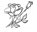 Rose Clipart