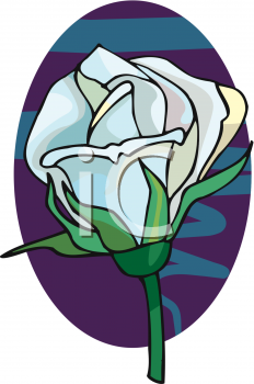 Rose Clipart