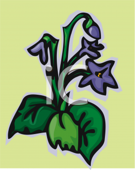 Violet Clipart