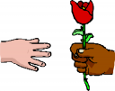 Rose Clipart