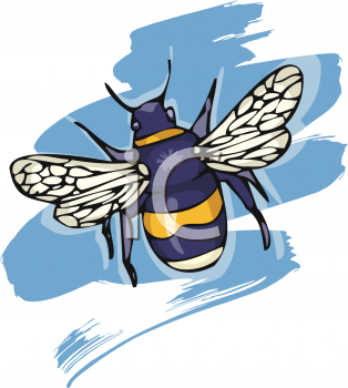 Bug Clipart