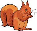 Squirrel Clipart