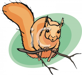 Squirrel Clipart