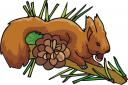 Squirrel Clipart