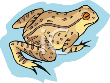 Frog Clipart