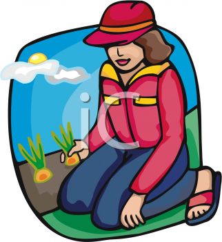 Harvest Clipart