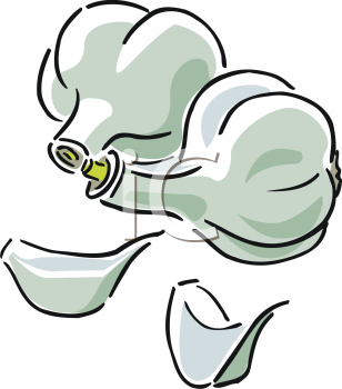 Garlic Clipart