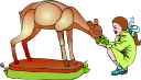 Deer Clipart