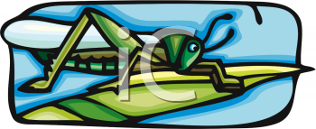 Bug Clipart