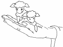 Sheep Clipart