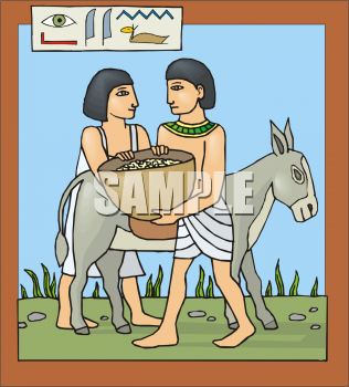 Donkey Clipart