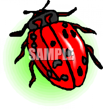 Bug Clipart