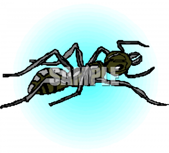Bug Clipart