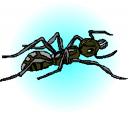 Bug Clipart