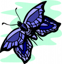 Bug Clipart
