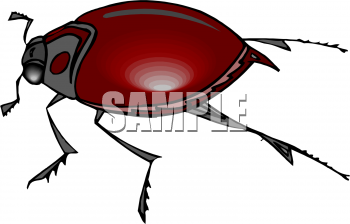 Bug Clipart