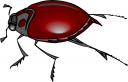 Bug Clipart