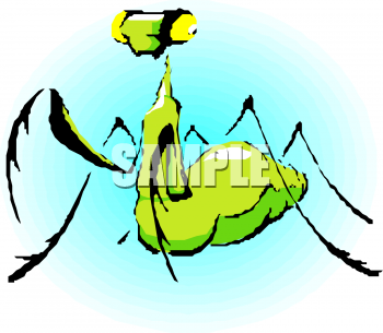Bug Clipart