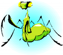 Bug Clipart