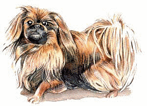 Free Dog Clipart
