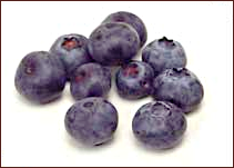 Free Berry Clipart
