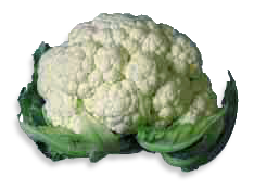 Free Vegetable Clipart