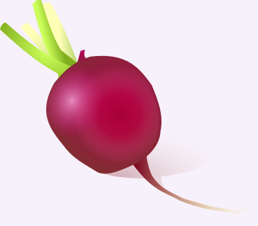 Free Radish Clipart