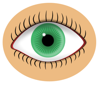Free Colored Eyeball Clipart