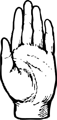 Free Hand Coloring page Clipart