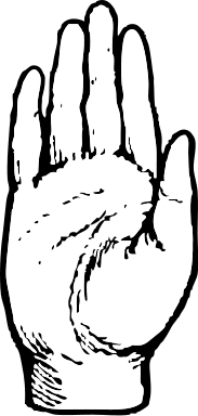 Free Hand Coloring page Clipart