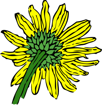 Free Sunflower Clipart