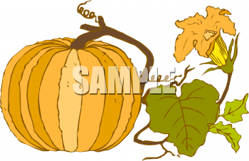 Pumpkin Clipart