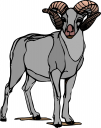 Sheep Clipart