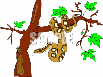 Snake Clipart