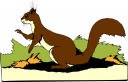 Squirrel Clipart