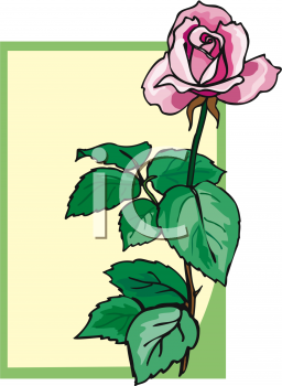 Rose Clipart