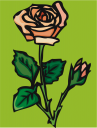 Rose Clipart