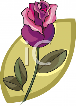Rose Clipart