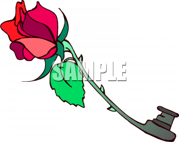 Rose Clipart