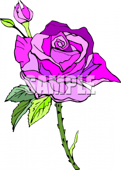 Rose Clipart