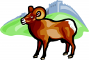 Sheep Clipart