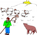 Sheep Clipart