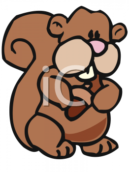 Squirrel Clipart
