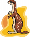 Squirrel Clipart