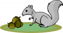 Squirrel Clipart