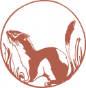 Squirrel Clipart