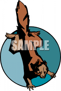 Squirrel Clipart