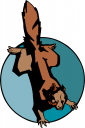 Squirrel Clipart